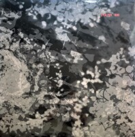 Lyla Foy - UMi [LP] | Not On Label -  | UK & Europe,...