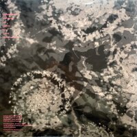 Lyla Foy - UMi [Vinyl LP]