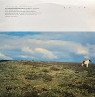 La Jr - La Jr [LP] | La - La03 | Spain, 2005 | VG+/NM