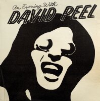 David Peel & The Lower East Side - An Evening With...