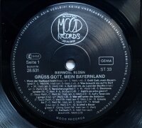 Biermösl Blosn - Grüss Gott, Mein Bayernland [Vinyl LP]