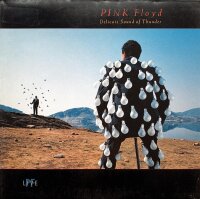 Pink Floyd - Delicate Sound Of Thunder [2LP] | EMI - 198-7 91480 1  | Europe, 1988 | VG+/VG