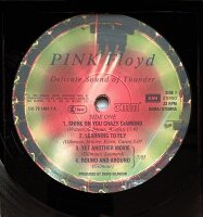 Pink Floyd - Delicate Sound Of Thunder [2LP] | EMI - 198-7 91480 1  | Europe, 1988 | VG+/VG
