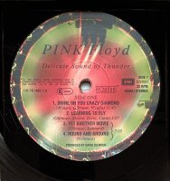 Pink Floyd - Delicate Sound Of Thunder [Vinyl LP]