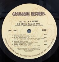 The Gregg Allman Band - Playin Up A Storm [LP] |...
