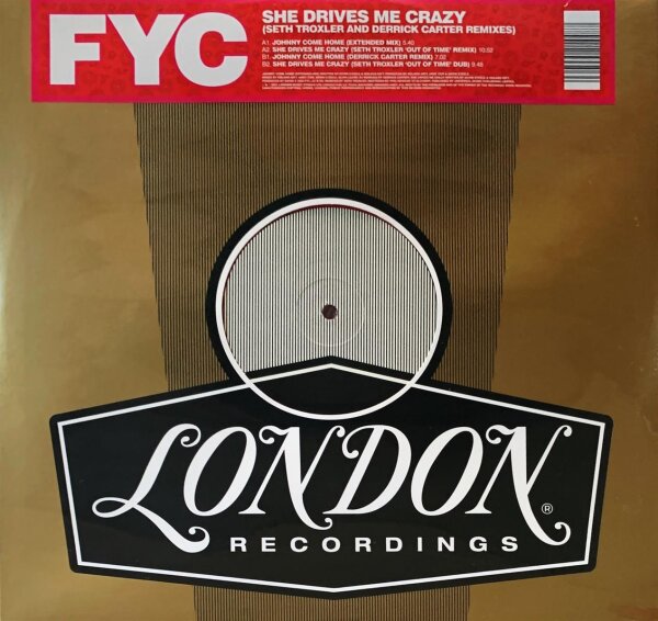 Fine Young Cannibals - She Drives Me Crazy (Seth Troxler And Derrick Carter Remixes)  [Vinyl 12 Maxi]