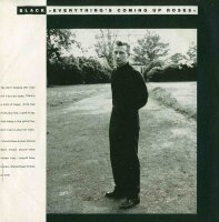 Everythings Coming Up Roses