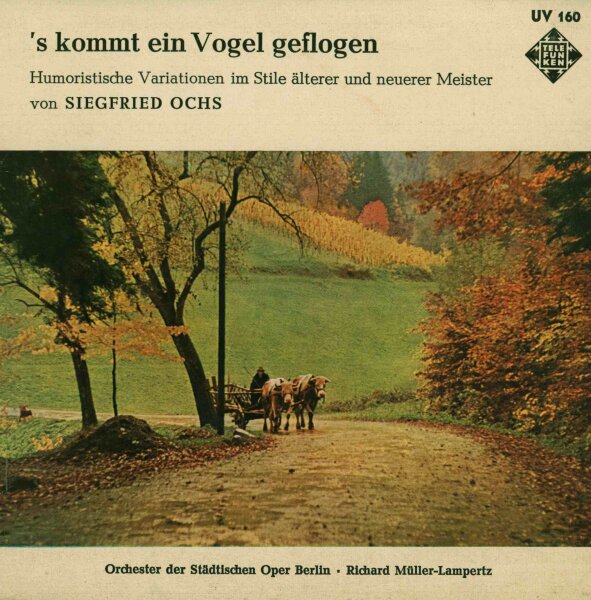 s Kommt Ein Vogel Geflogen