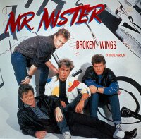 Mr. Mister - Broken Wings [Vinyl 12 Maxi]