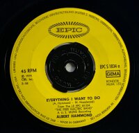 Albert Hammond - Everything I Want To Do [Vinyl 7 Single]