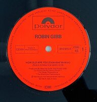 Robin Gibb - How Old Are You? [Vinyl 12 Maxi]