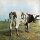 Pink Floyd - Atom Heart Mother [Vinyl LP]