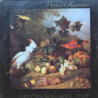 Procol Harum - Exotic Birds And Fruits [LP] | Chrysalis -...