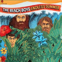 The Beach Boys - Endless Summer [Vinyl LP]