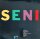 Seni - 11 X [Vinyl LP]