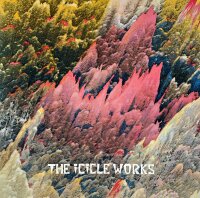 The Icicle Works - Birds Fly (Whisper To A Scream) [Vinyl 12 Maxi]