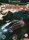 Need for Speed: Carbon