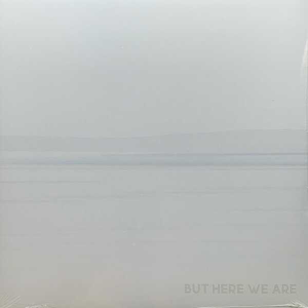 But Here We Are
