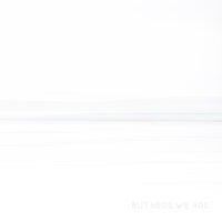 Foo Fighters - But Here We Are [Vinyl LP]