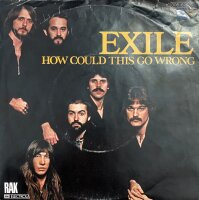 Exile - How Could This Go Wrong [Vinyl 7 Single]