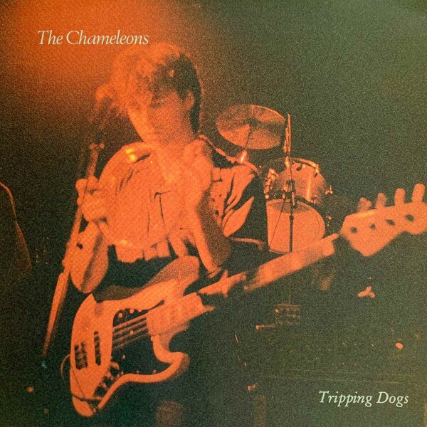 The Chameleons - Tripping Dogs [LP] | Glass Pryramid - EMC 2 | UK & Europe, 1990 | NM/EX