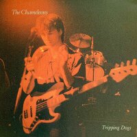 The Chameleons - Tripping Dogs [LP] | Glass Pryramid -...
