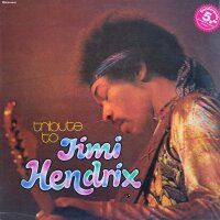 The Live Experience Band - Tribute To Jimi Hendrix [LP] |...