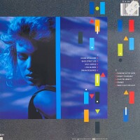 Kim Wilde - Catch As Catch Can [LP] | RAK - 1A 064 1654081 | Europe, 1983 | VG/EX