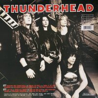 Thunderhead - Behind The Eight-Ball [LP] | Intercord - INT 145.122 | Germany, 1989 | NM/EX