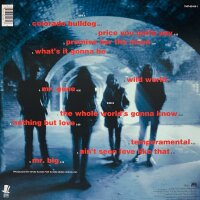 Mr. Big - Bump Ahead [LP] | Atlantic - 7567-82495-1 | Europe, 1993 | EX/NM