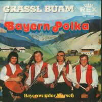 Bayern Polka / Bayernwälder Marsch