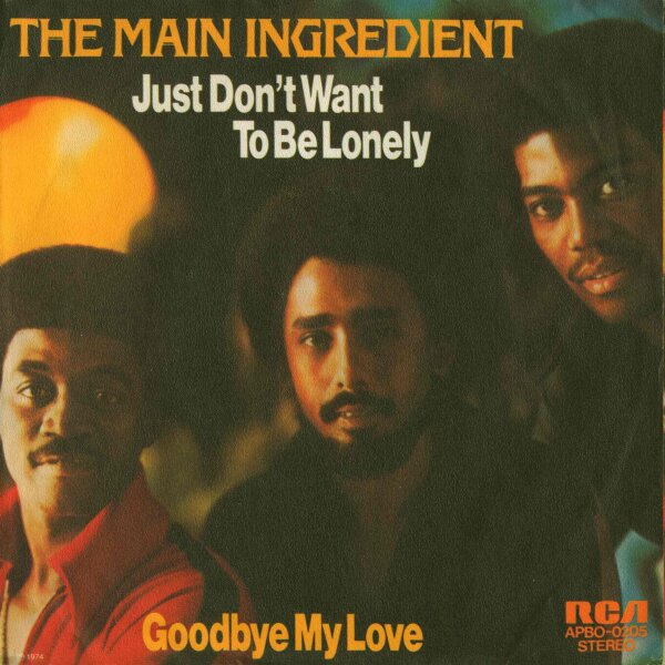 Just Dont Want To Be Lonely / Goodbye My Love
