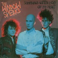 The Window Speaks - Somethings Gotten Hold Of My Heart /...