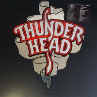 Thunderhead - Busted At The Border [Vinyl LP]