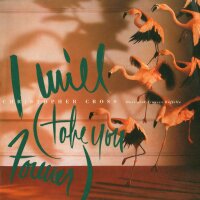 I Will (Take You Forever) /  Just One Look