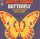 Butterfly / Le petit ours en pluche