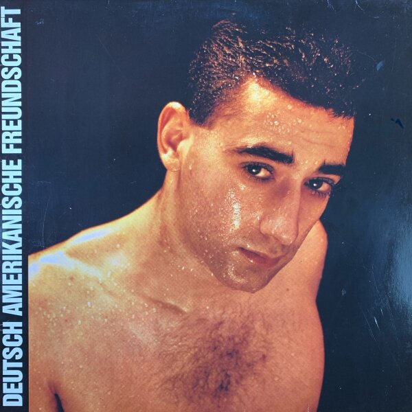 Deutsch Amerikanische Freundschaft - Alles ist gut [LP] | Ariola - 203 644-320 | Germany, 1981 | VG/VG