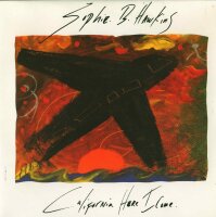Sophie B. Hawkins - California Here I Come / Saviour...