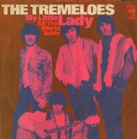 The Tremeloes - My Little Lady / All The World To Me [7...