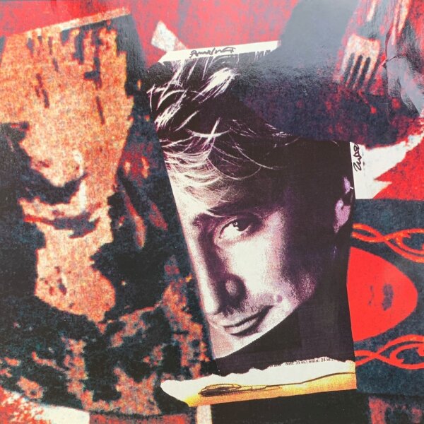 Rod Steward - Vagabond Heart [LP] | Warner Music - WE 391 | Europe, 1991 | EX/VG+