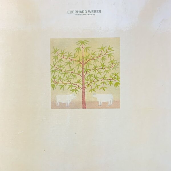 Eberhard Weber - The Following Morning [LP] | ECM - 2301 084 | Germany, 1977 | NM/VG+