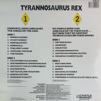 Tyrannosaurus Rex - A Beard Of Stars / Unicorn [2LP] |...