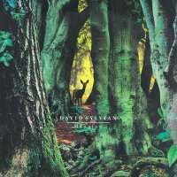 David Sylvian - Manafon [LP] | Samadhisound - sound-lp...