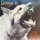 Damien - Every Dog Has Its Day [LP] | Steamhammer - 08-7504 | Europe, 1987 | VG+/VG+