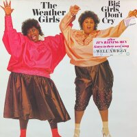 The Weather Girls - Big Girls Dont Cry [LP] | CBS - 26474...