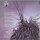 Kim Appleby - G.L.A.D. [12 Maxi] | Parlophone -  060-20 4188 6 | Germany, 1991 | NM/EX