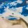 Peter Cornelius - Reif Für Die Insel [LP] | Philips - 6435 122 | Germany, 1981 | NM/EX