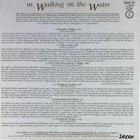 M. Walking On The Water - The Waltz [LP] | Fuego - FUEGO...