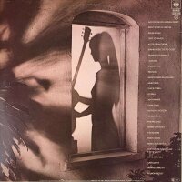 Al Di Meola - Splendido Hotel [2LP] | CBS - CBS 88468 | Europe, 1980 | EX/VG+