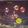Deep Purple - Who Do We Think We Are [LP] | Purple Records - 1C 062-94 140 | Germany, 1973 | EX/VG